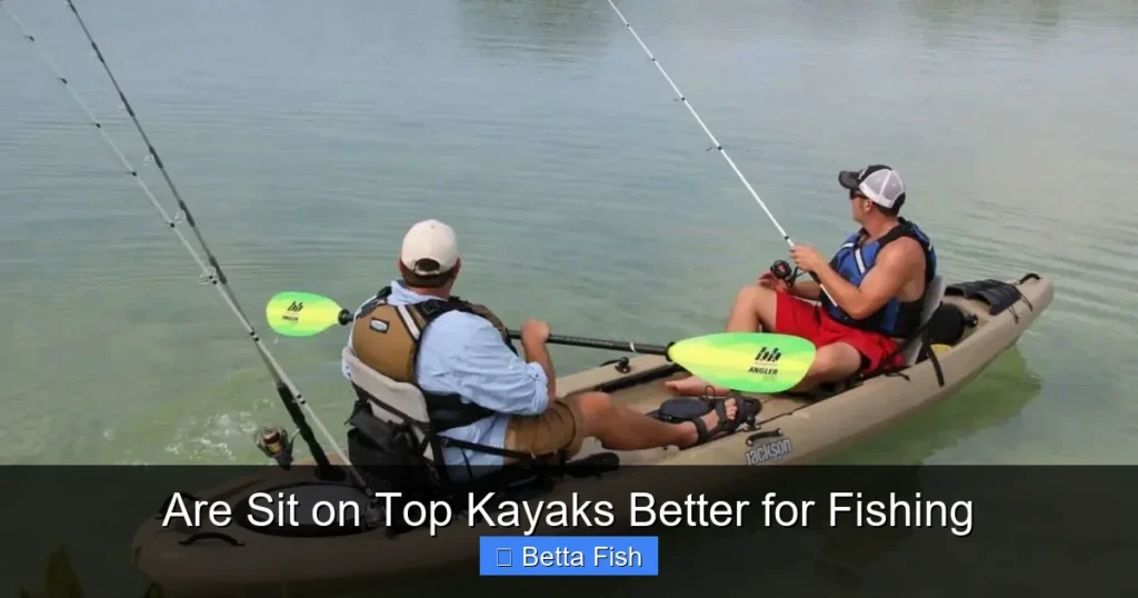 Are Sit on Top Kayaks Better for Fishing
