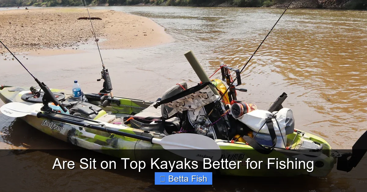 Are Sit on Top Kayaks Better for Fishing
