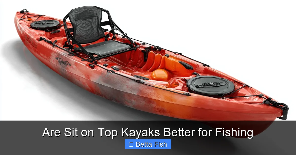 Are Sit on Top Kayaks Better for Fishing