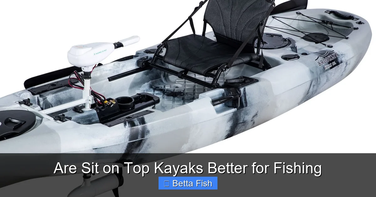 Are Sit on Top Kayaks Better for Fishing