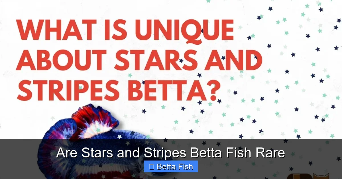Are Stars and Stripes Betta Fish Rare