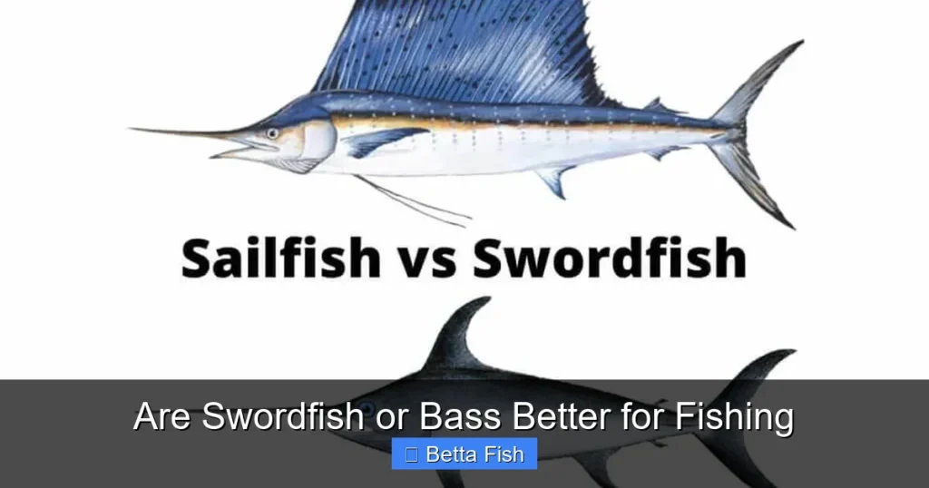 Are Swordfish or Bass Better for Fishing