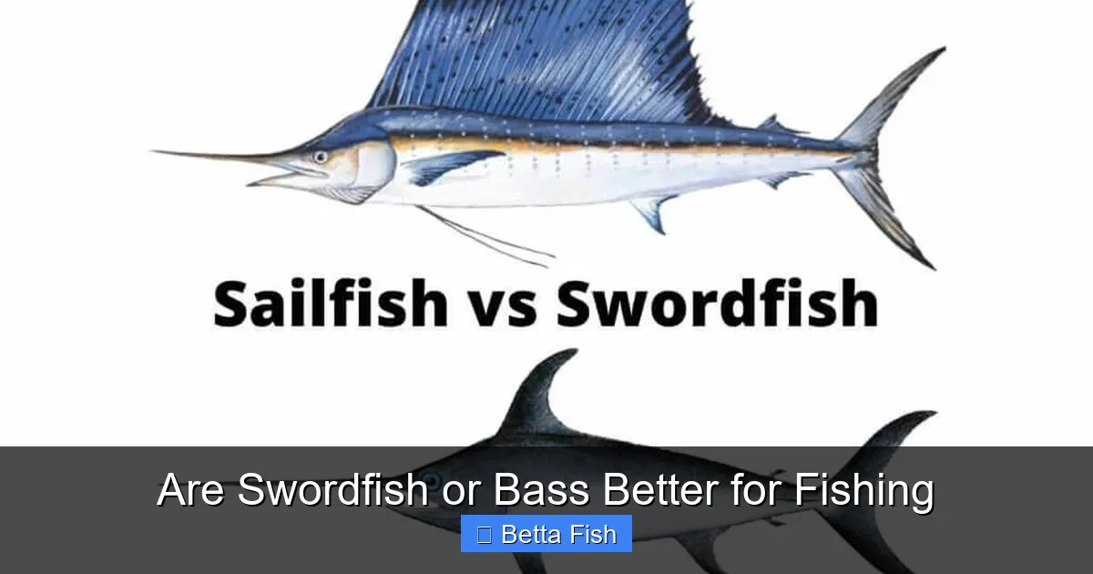 Are Swordfish or Bass Better for Fishing