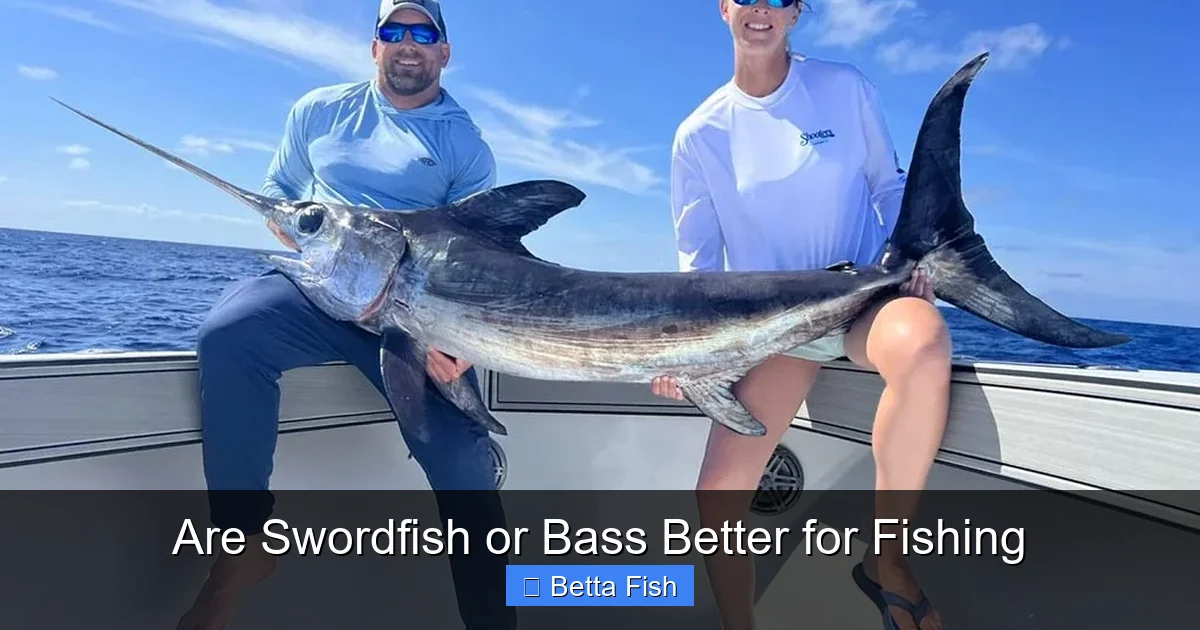 Are Swordfish or Bass Better for Fishing