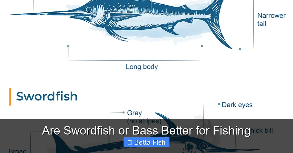 Are Swordfish or Bass Better for Fishing