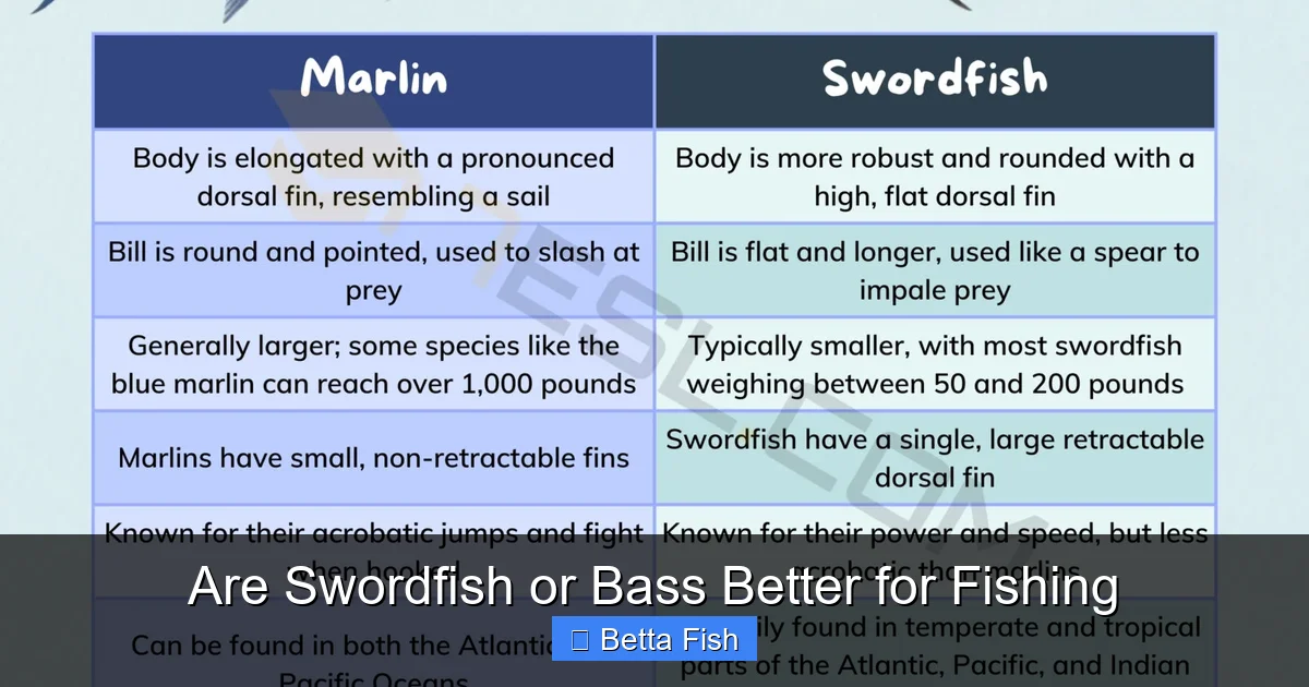 Are Swordfish or Bass Better for Fishing