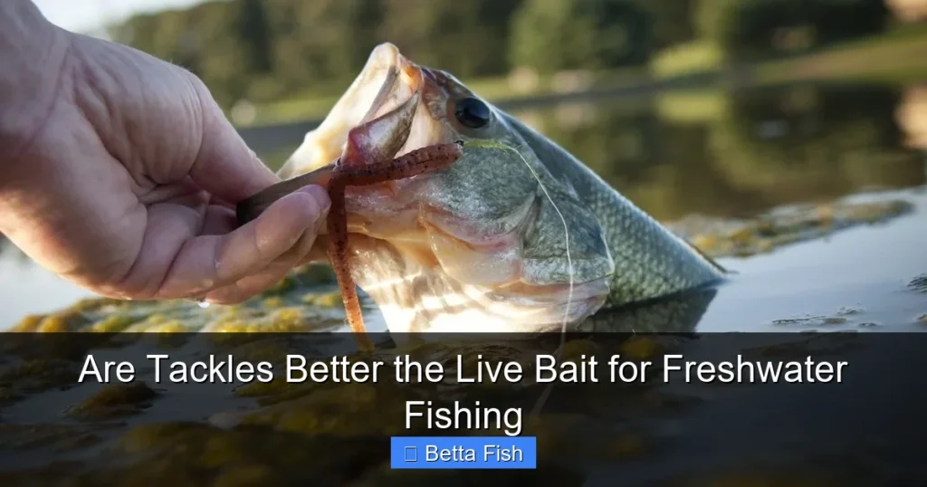 Are Tackles Better the Live Bait for Freshwater Fishing