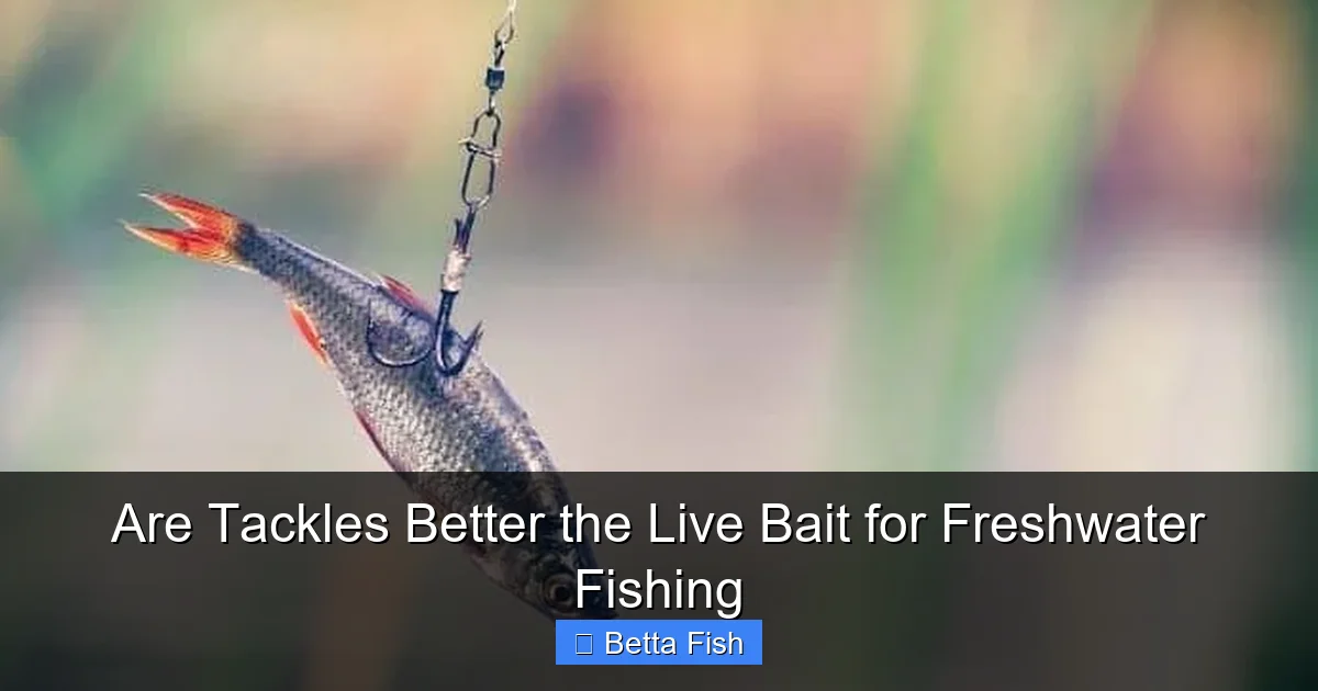 Are Tackles Better the Live Bait for Freshwater Fishing