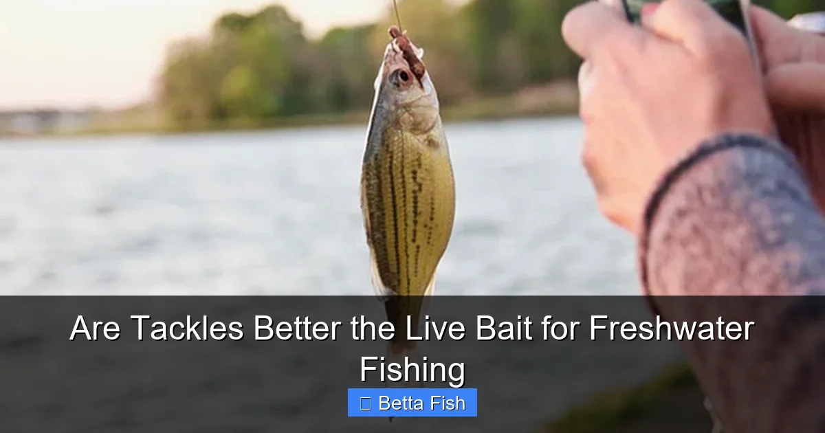 Are Tackles Better the Live Bait for Freshwater Fishing