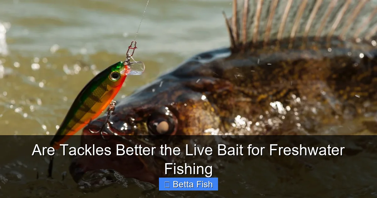 Are Tackles Better the Live Bait for Freshwater Fishing
