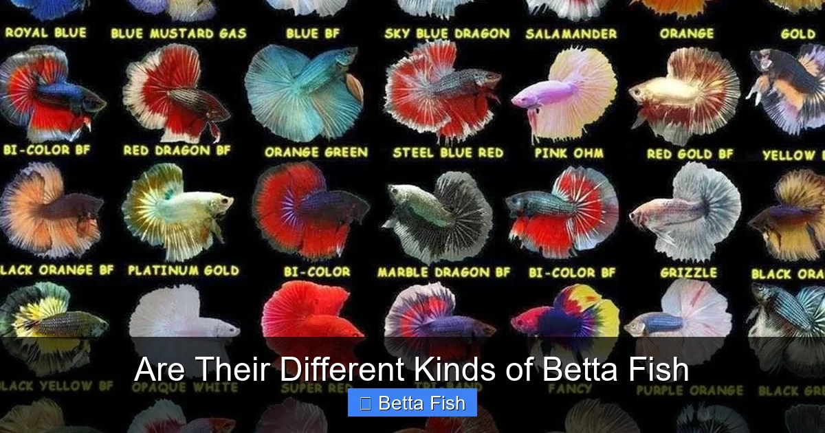 Are Their Different Kinds of Betta Fish