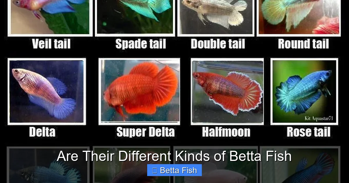 Are Their Different Kinds of Betta Fish