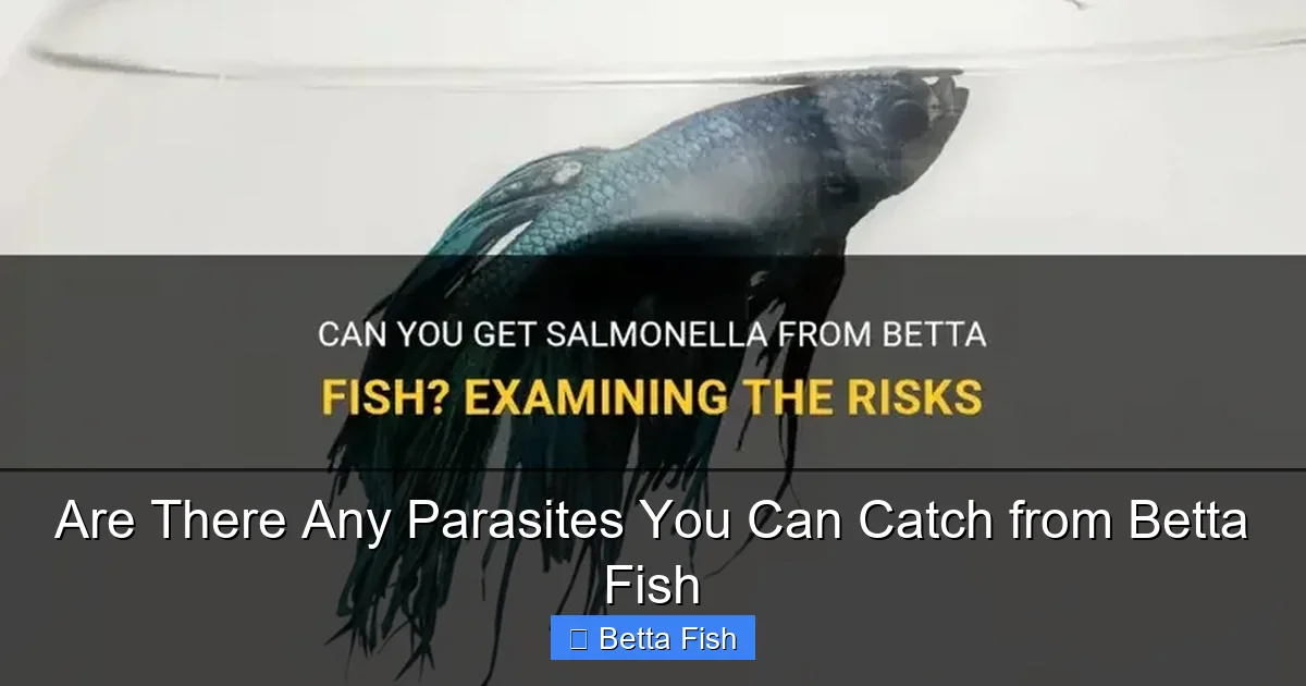 Are There Any Parasites You Can Catch from Betta Fish