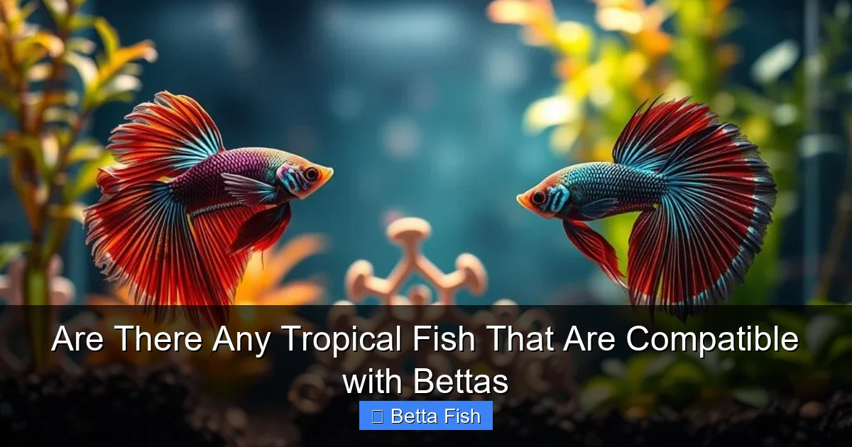 Are There Any Tropical Fish That Are Compatible with Bettas