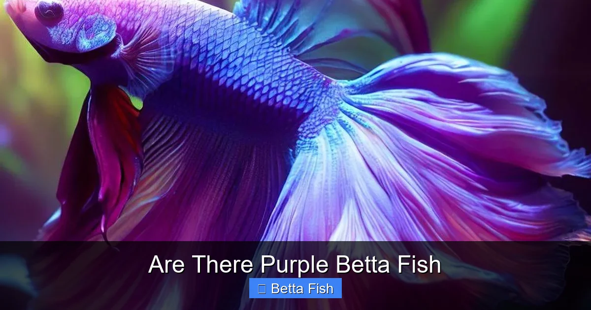 Are There Purple Betta Fish