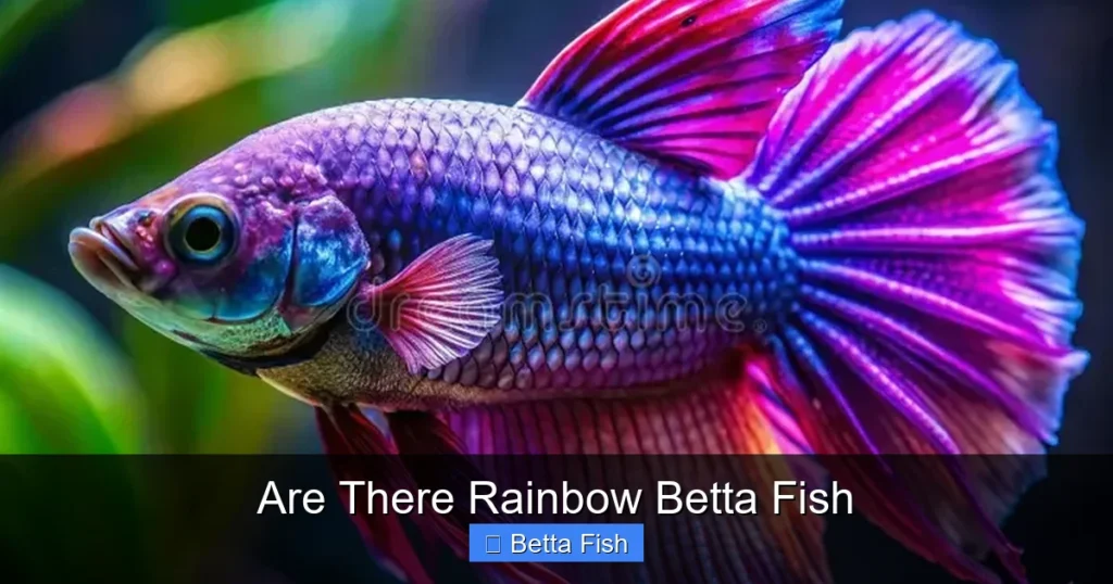 Are There Rainbow Betta Fish