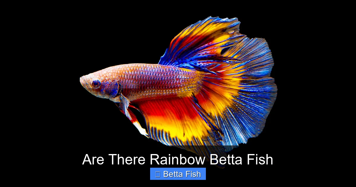 Are There Rainbow Betta Fish
