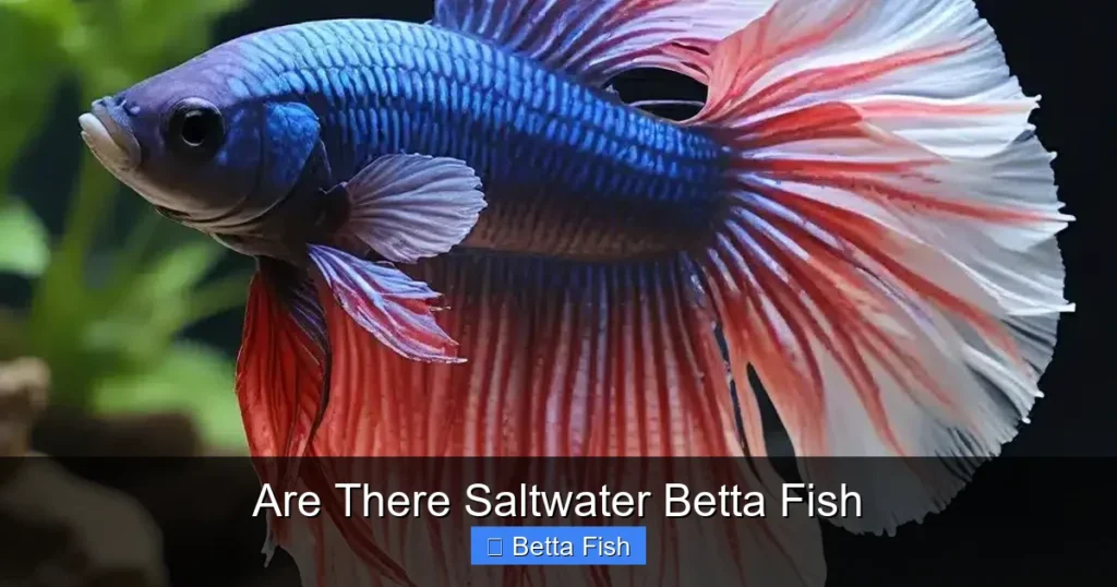 Are There Saltwater Betta Fish