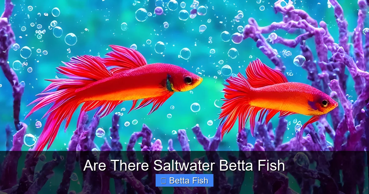 Are There Saltwater Betta Fish
