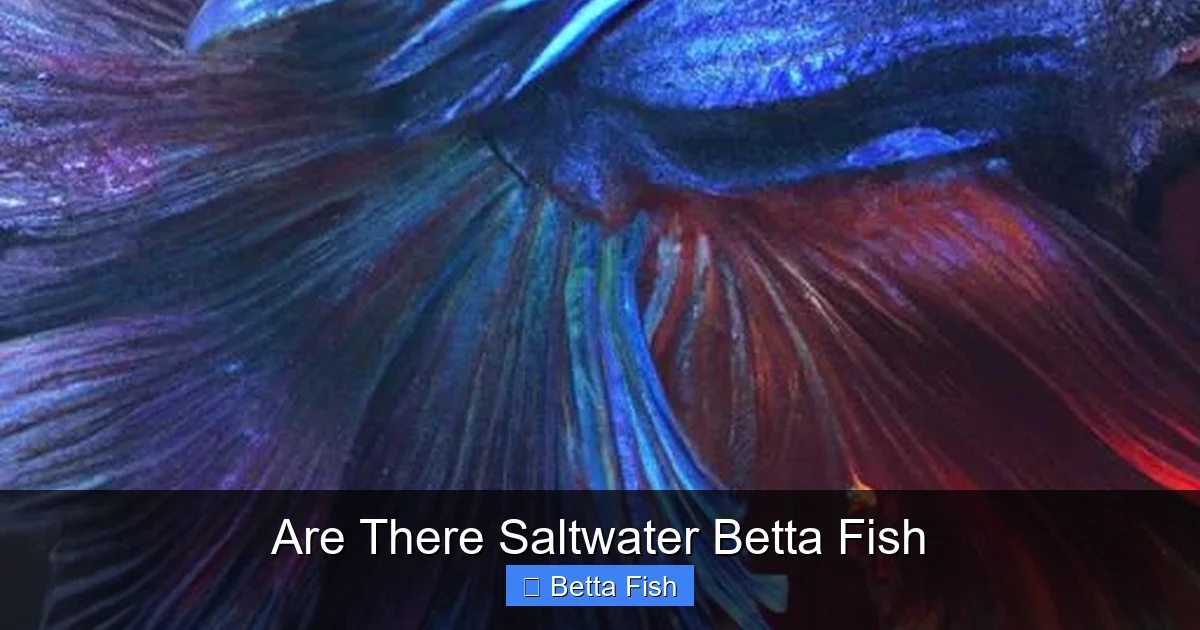 Are There Saltwater Betta Fish