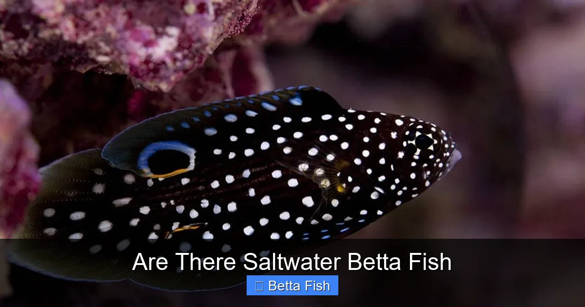 Are There Saltwater Betta Fish