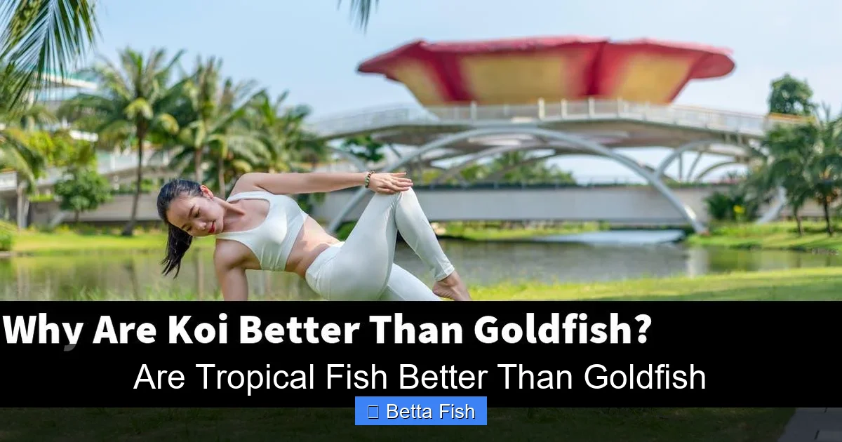 Are Tropical Fish Better Than Goldfish