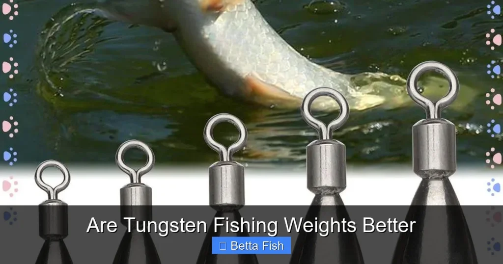 Are Tungsten Fishing Weights Better
