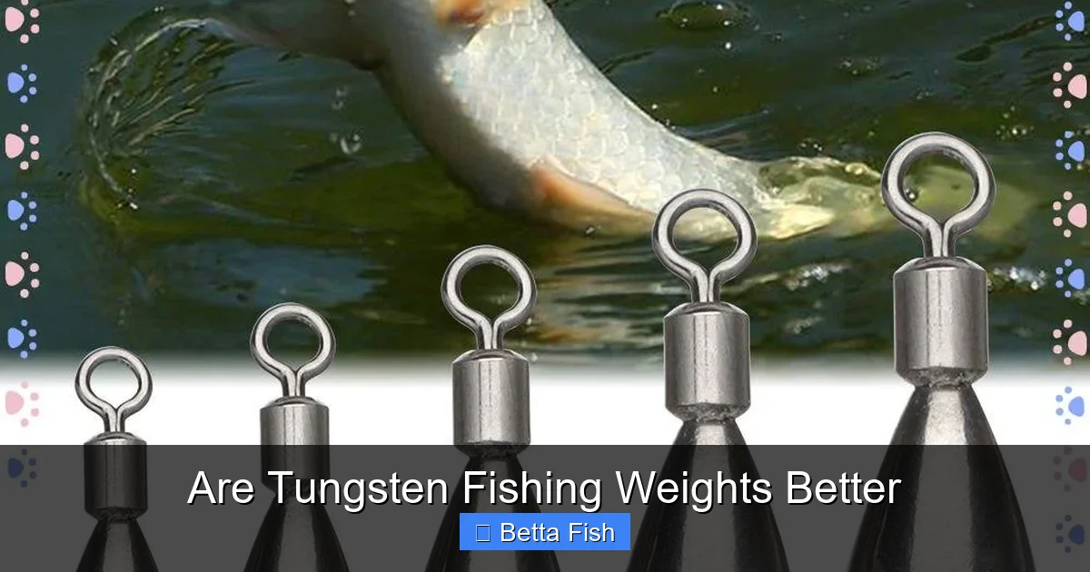 Are Tungsten Fishing Weights Better