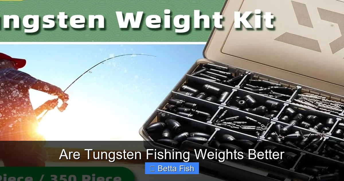 Are Tungsten Fishing Weights Better