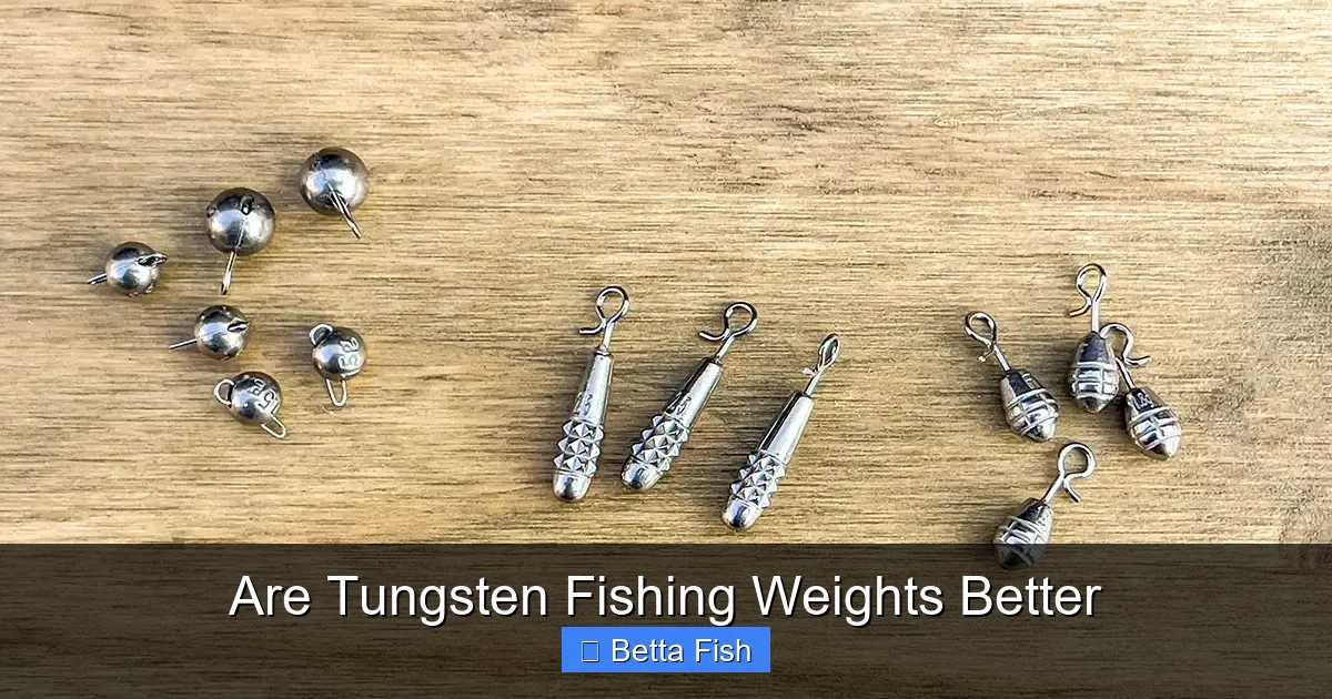 Are Tungsten Fishing Weights Better