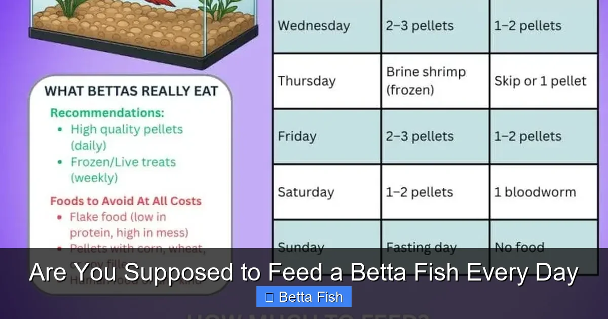 Are You Supposed to Feed a Betta Fish Every Day