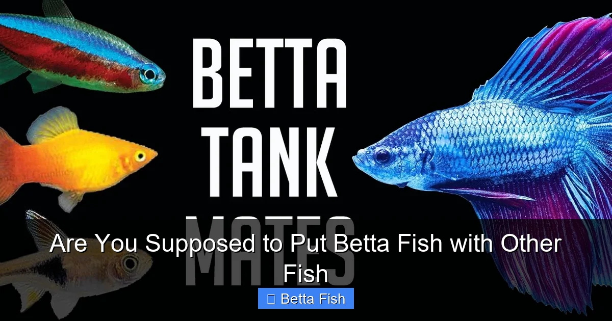 Are You Supposed to Put Betta Fish with Other Fish