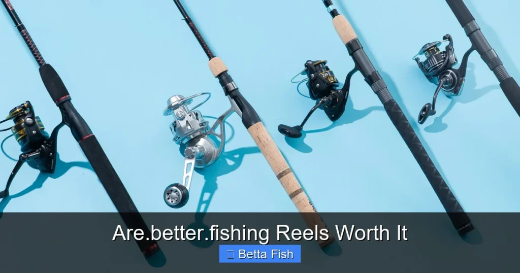 Are.better.fishing Reels Worth It