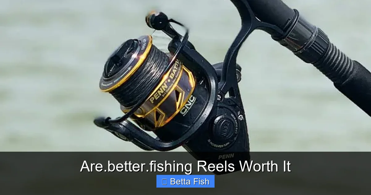 Are.better.fishing Reels Worth It