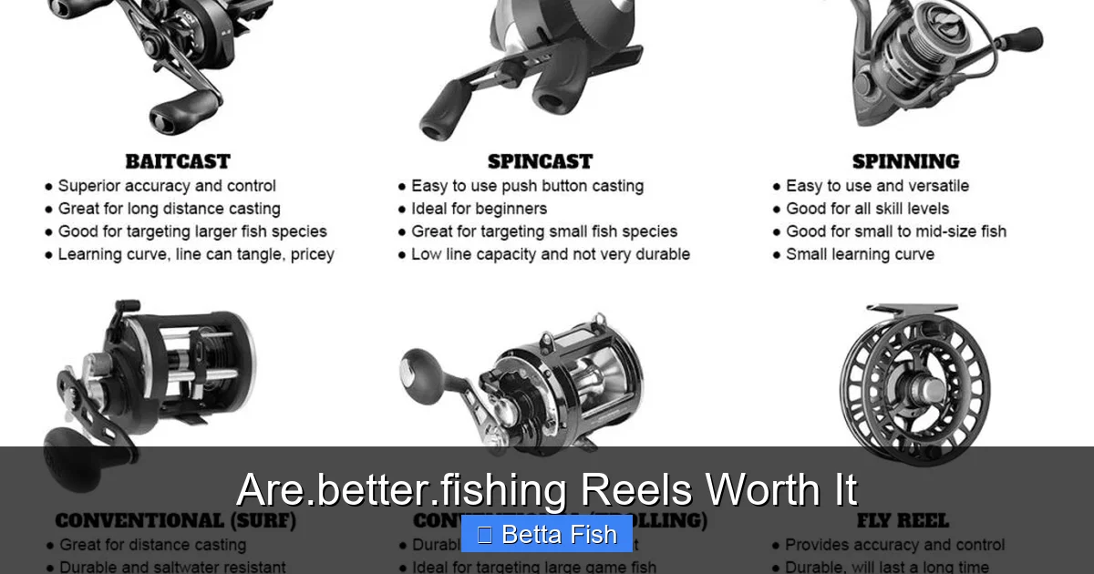 Are.better.fishing Reels Worth It