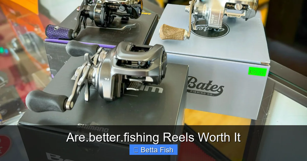 Are.better.fishing Reels Worth It