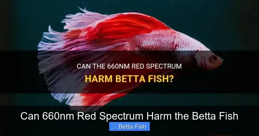 Can 660nm Red Spectrum Harm the Betta Fish