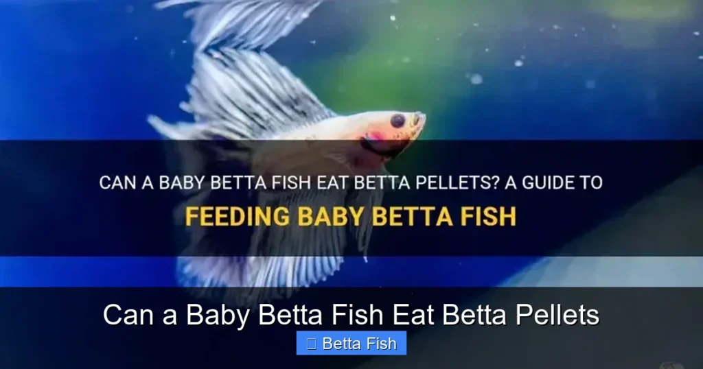 Can a Baby Betta Fish Eat Betta Pellets