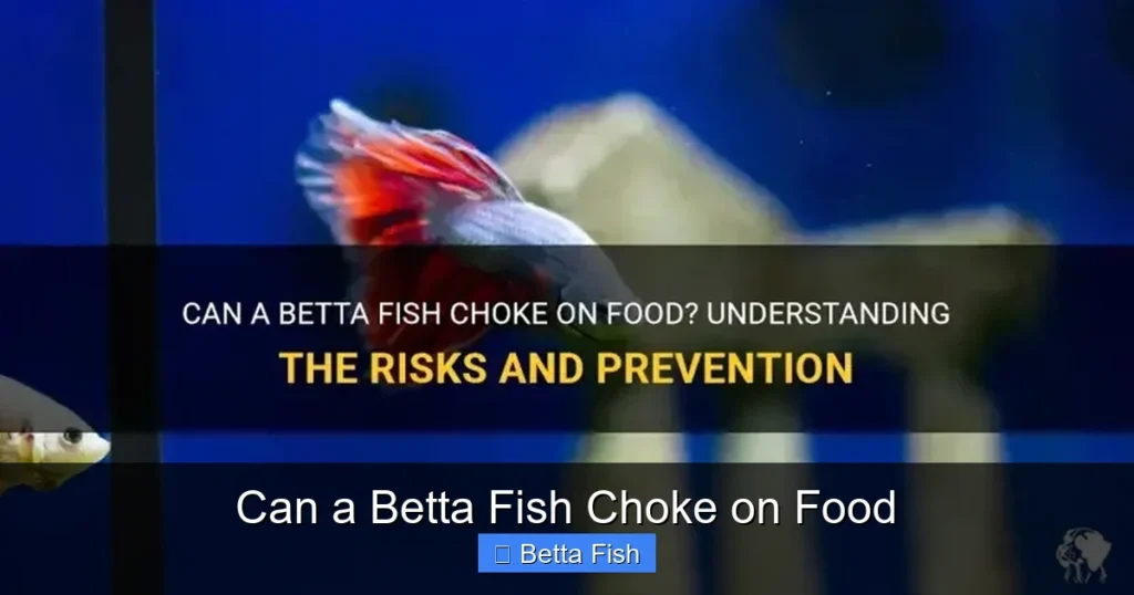 Can a Betta Fish Choke on Food