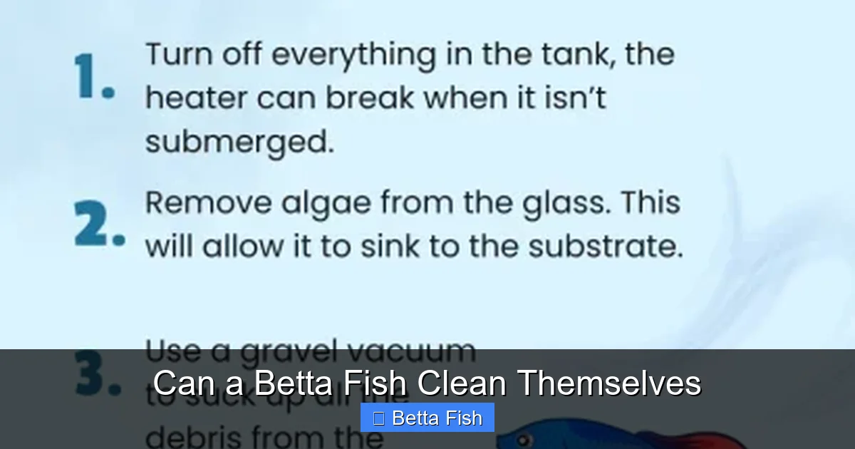 Can a Betta Fish Clean Themselves