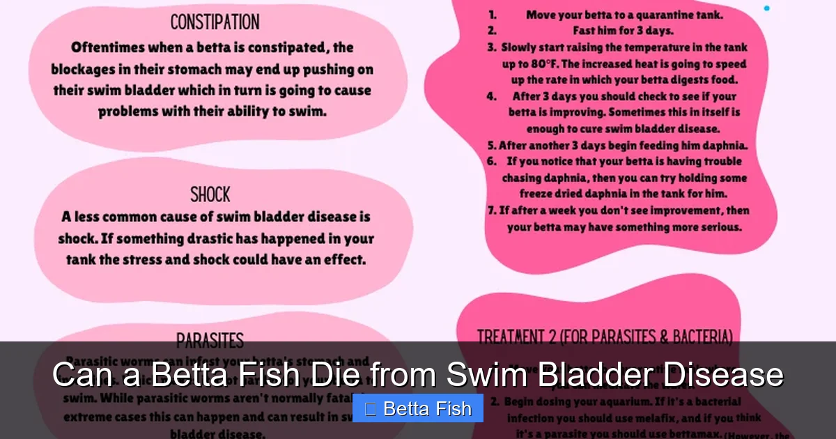 Can a Betta Fish Die from Swim Bladder Disease