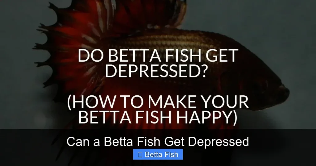 Can a Betta Fish Get Depressed