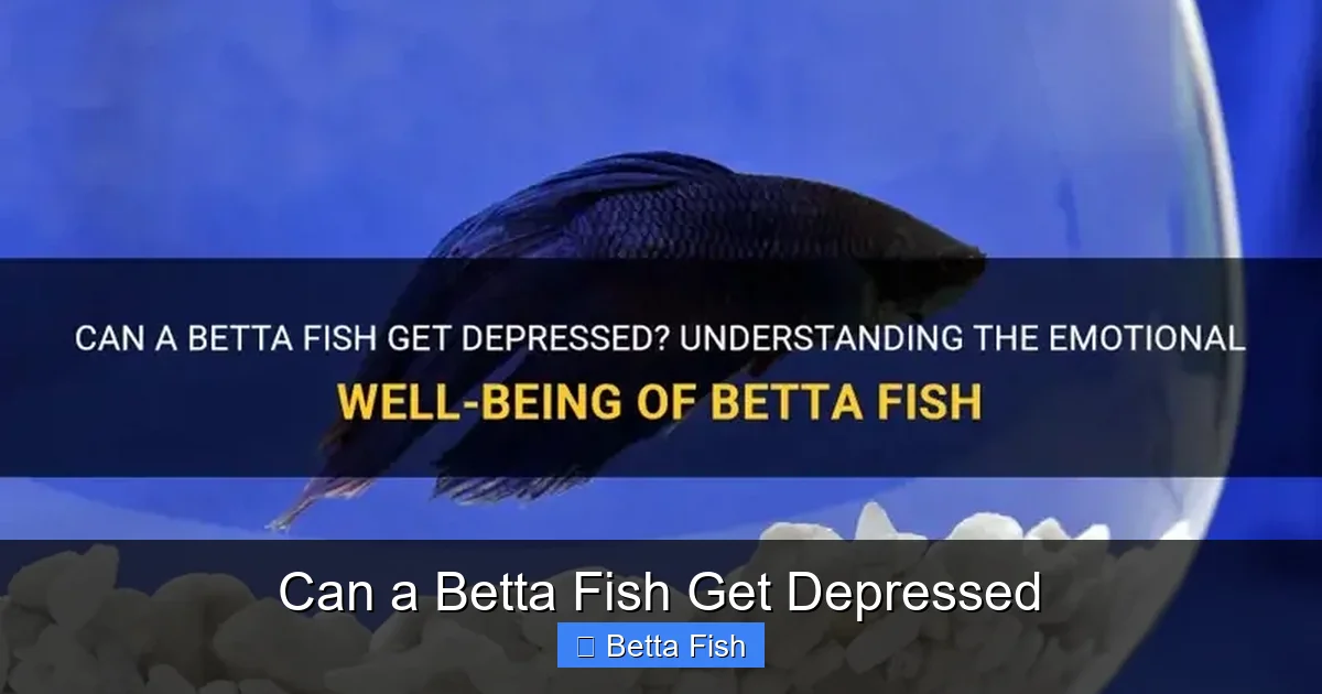 Can a Betta Fish Get Depressed
