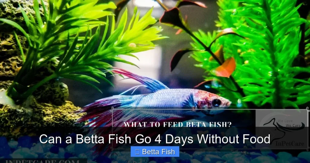 Can a Betta Fish Go 4 Days Without Food