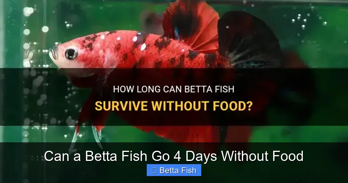 Can a Betta Fish Go 4 Days Without Food