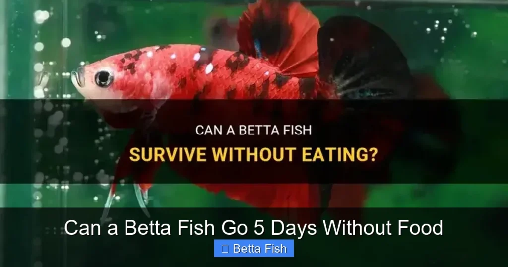 Can a Betta Fish Go 5 Days Without Food