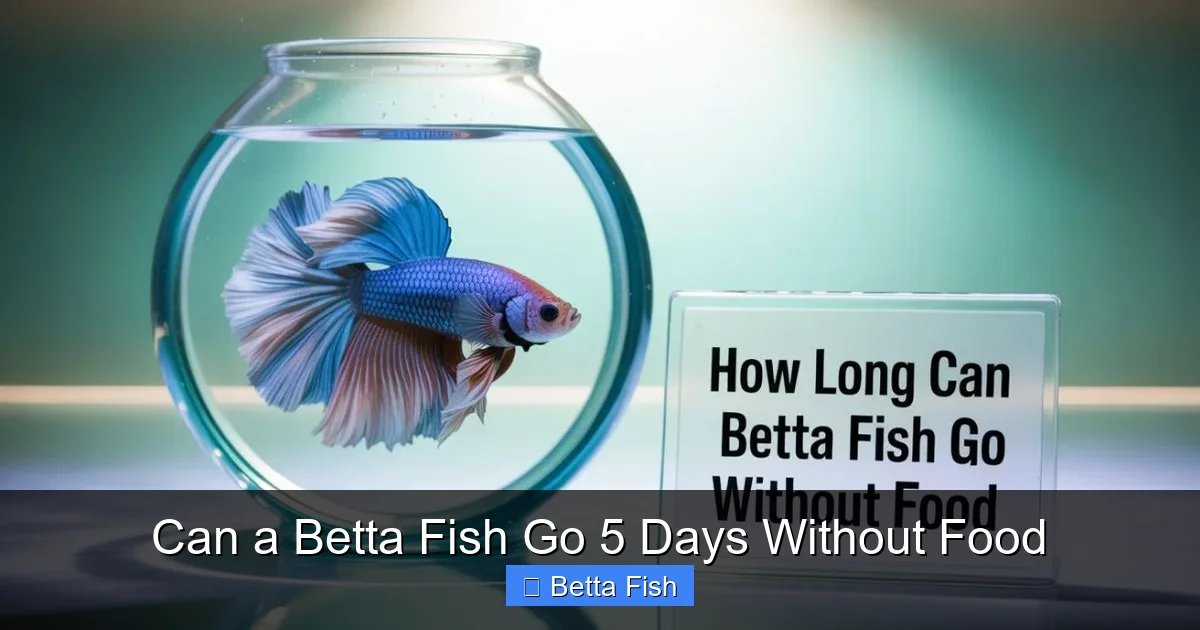 Can a Betta Fish Go 5 Days Without Food