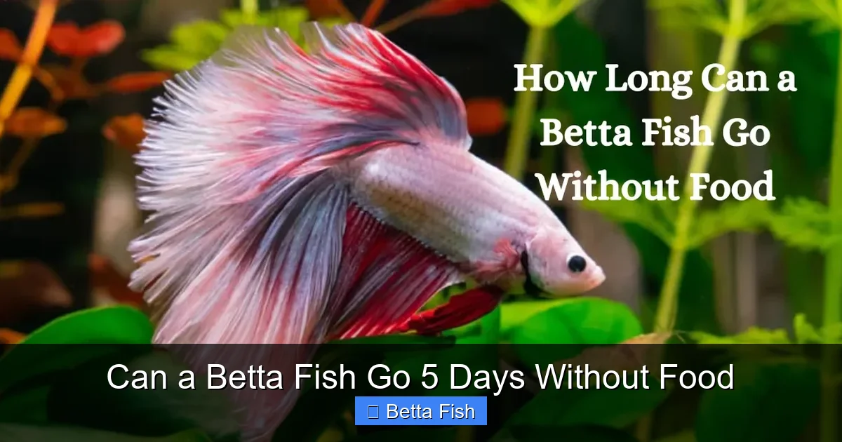 Can a Betta Fish Go 5 Days Without Food