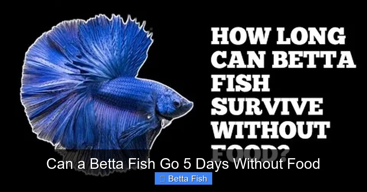Can a Betta Fish Go 5 Days Without Food