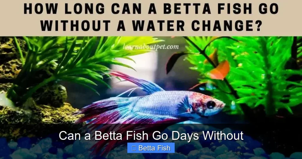 Can a Betta Fish Go Days Without